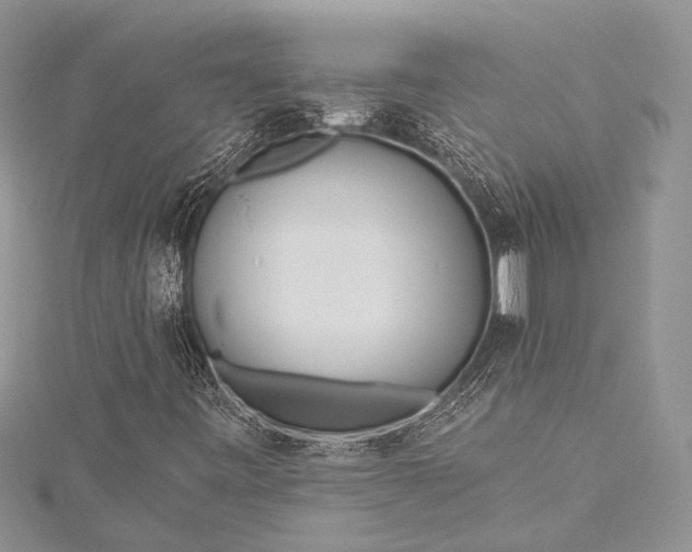 X0000115491443200911201546