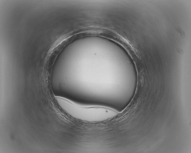 X0000115491448200911201546
