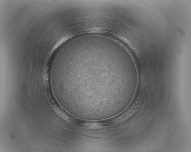 X0000115491450200911201546