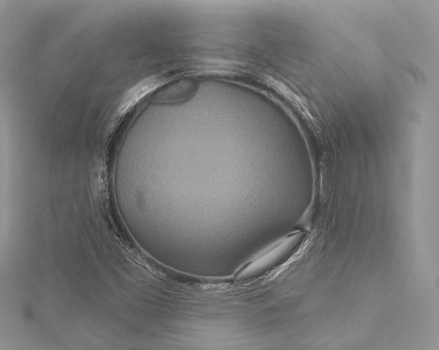 X0000115491453200911201546