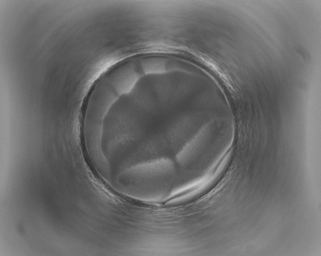 X0000115491463200911201546