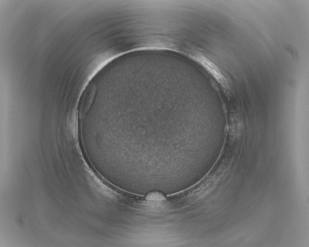 X0000115491468200911201546