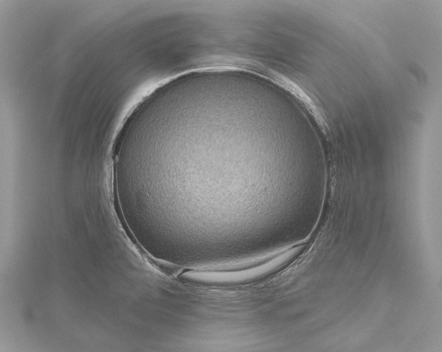X0000115491472200911201546