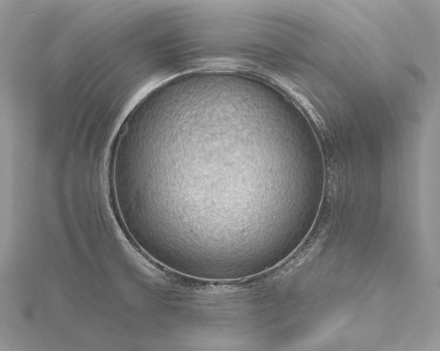 X0000115491475200911201546