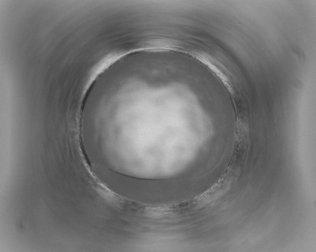 X0000115491477200911201546