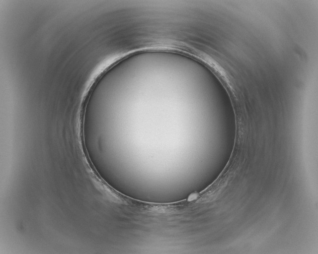 X0000115491480200911201546