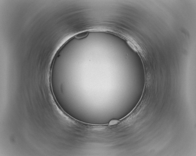 X0000115491484200911201546