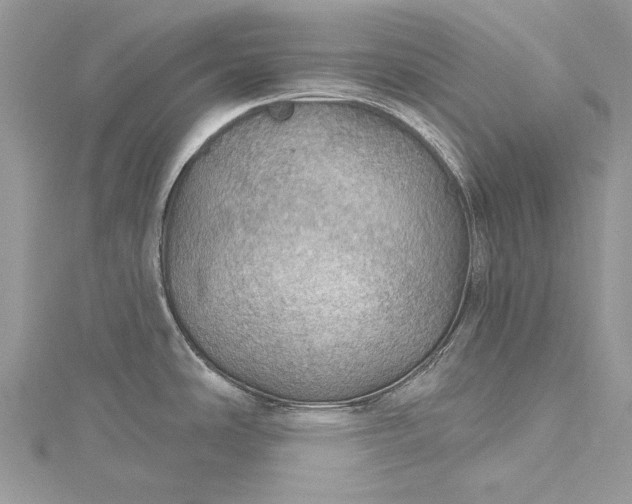 X0000115491486200911201546