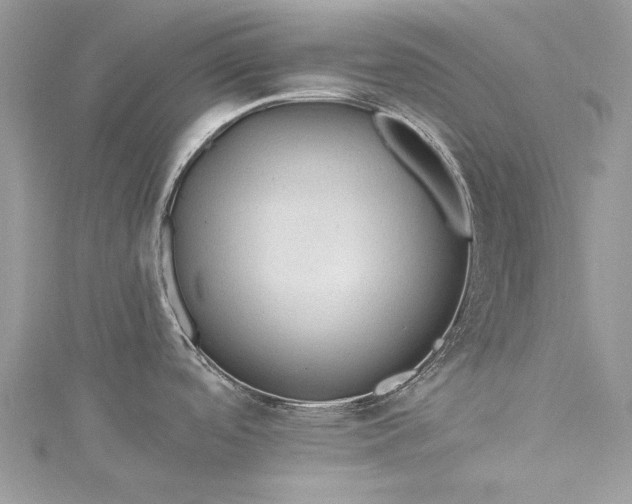 X0000115491488200911201546