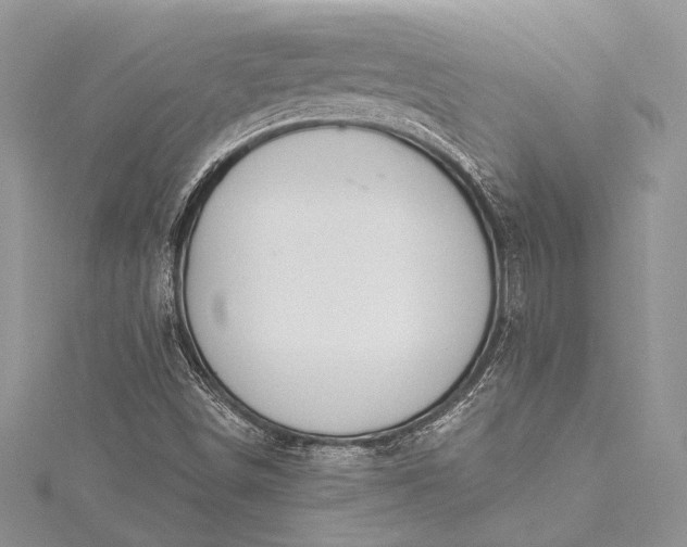 X0000115491498200911201545