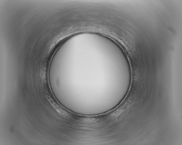 X0000115491499200911201545