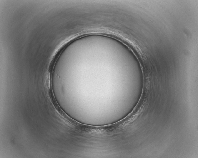 X0000115491509200911201545