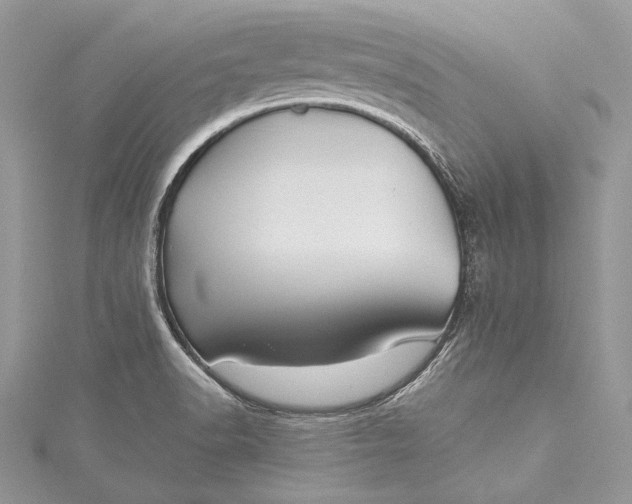 X0000115491518200911201546