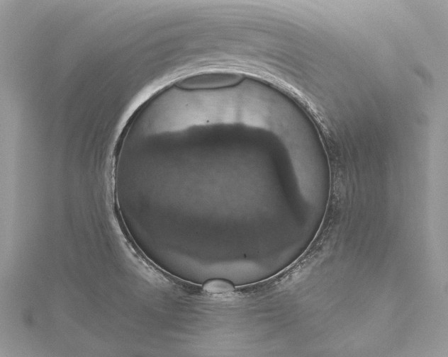 X0000115491522200911201546