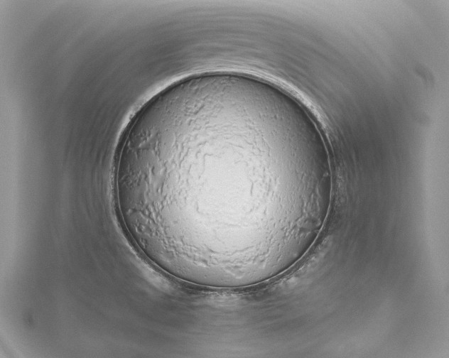 X0000115491525200911201546