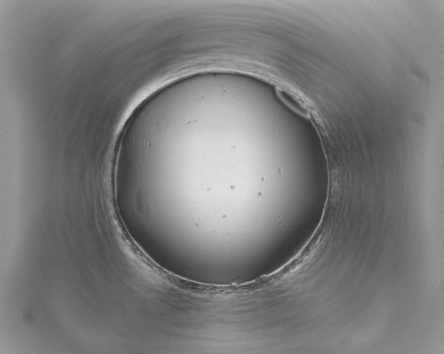 X0000115491530200911201546