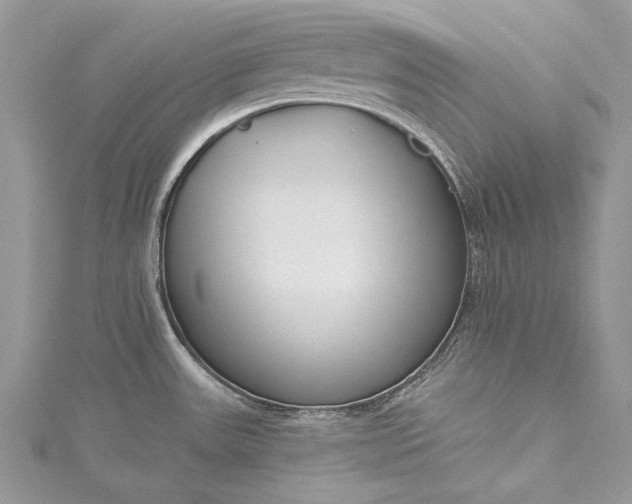 X0000115491531200911201546