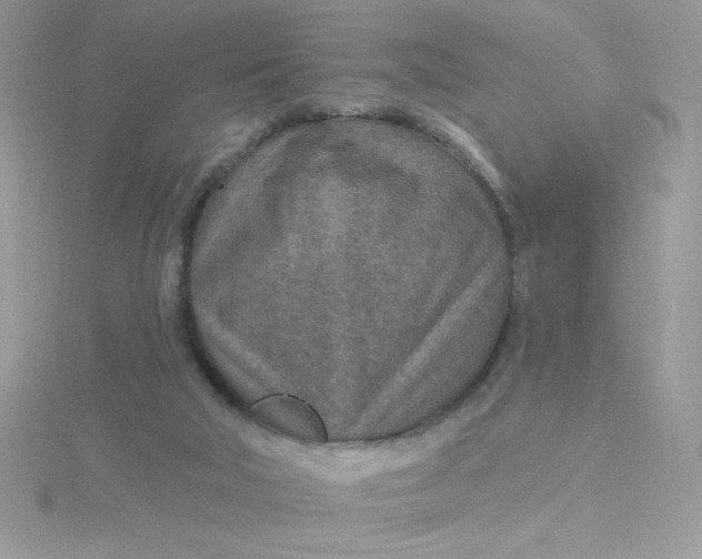 X0000115490018200911271358