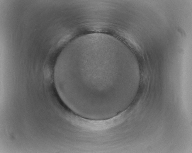 X0000115490031200911271358