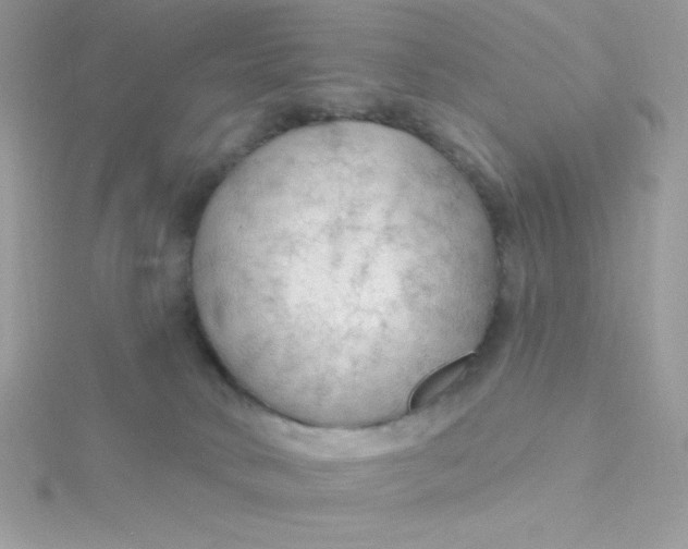 X0000115490034200911271358