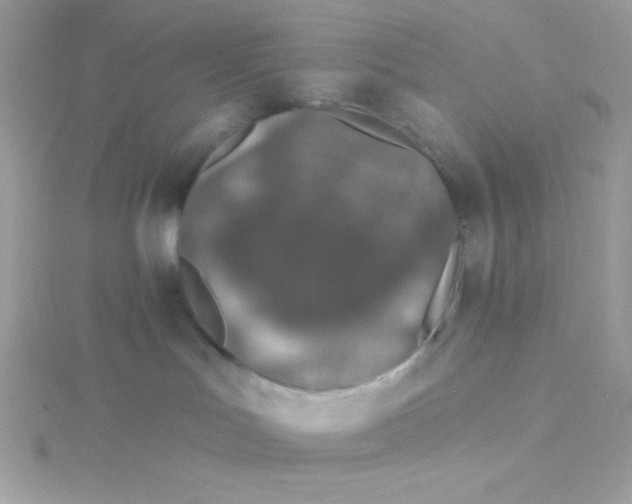 X0000115490047200911271358