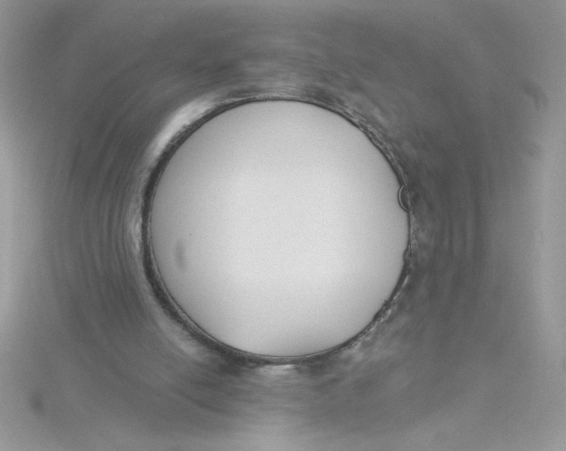 X0000115490054200911271357