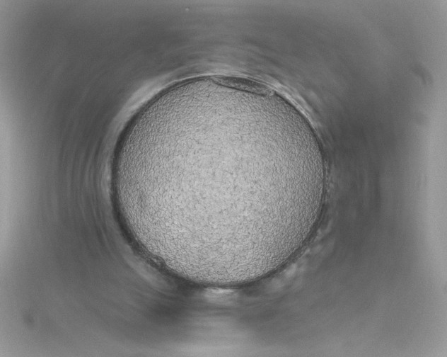 X0000115490055200911271357