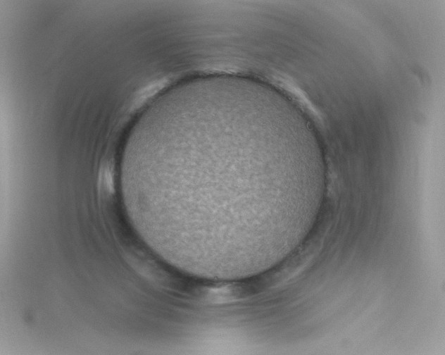 X0000115490068200911271357