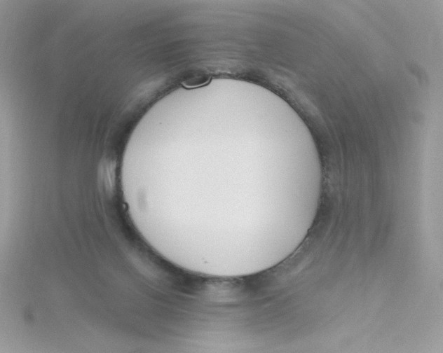 X0000115490070200911271357