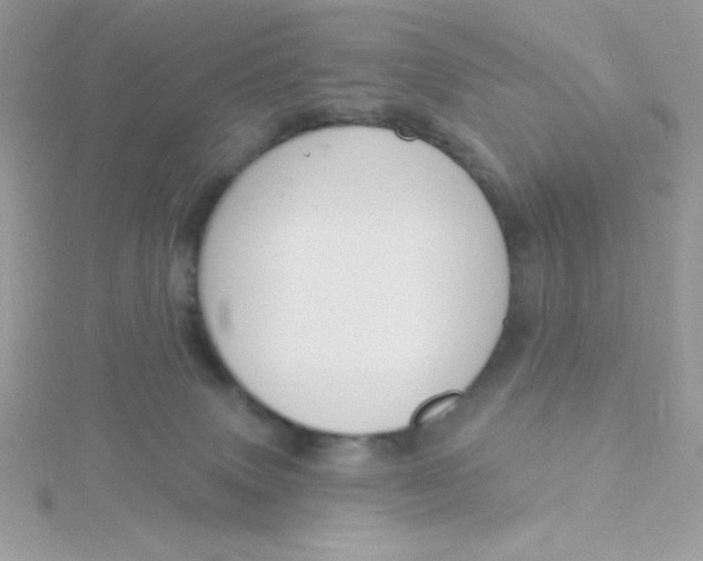 X0000115490083200911271357