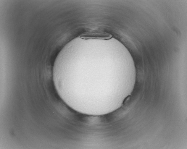 X0000115490085200911271357