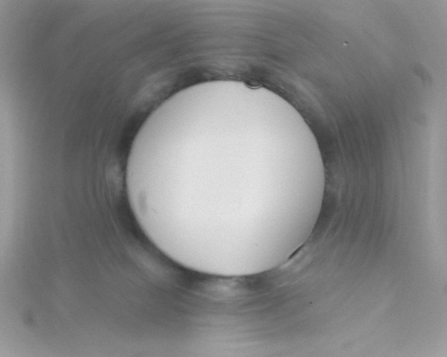 X0000115490086200911271357