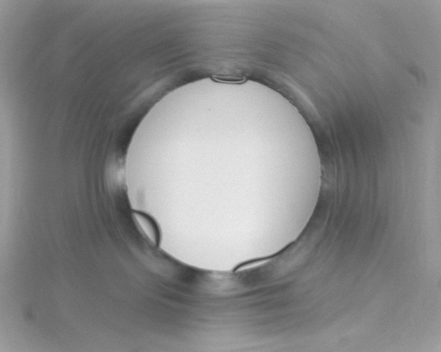 X0000115490095200911271357