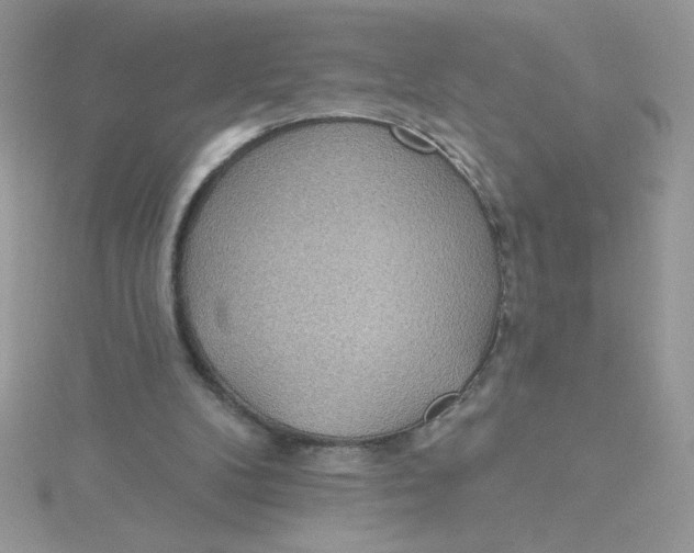 X0000115490104200911271357