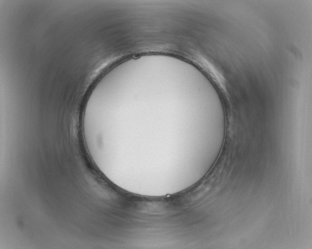 X0000115490107200911271357
