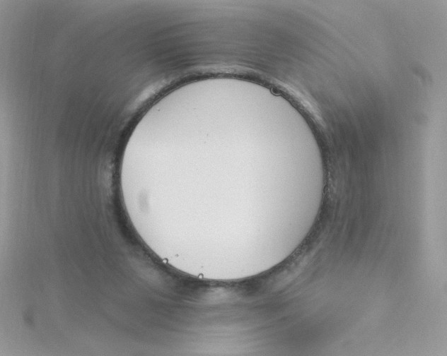 X0000115490111200911271357