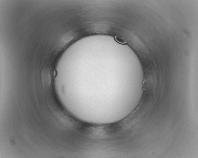 X0000115490120200911271357