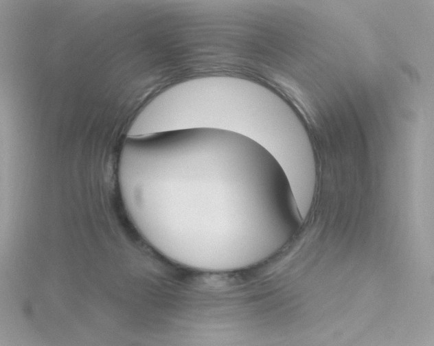 X0000115490121200911271357