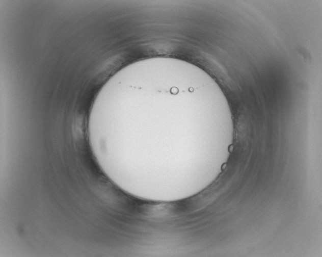 X0000115490122200911271357