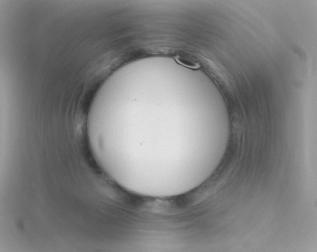 X0000115490125200911271357