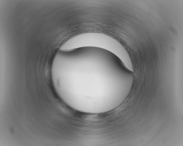 X0000115490132200911271356