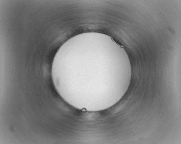 X0000115490135200911271356