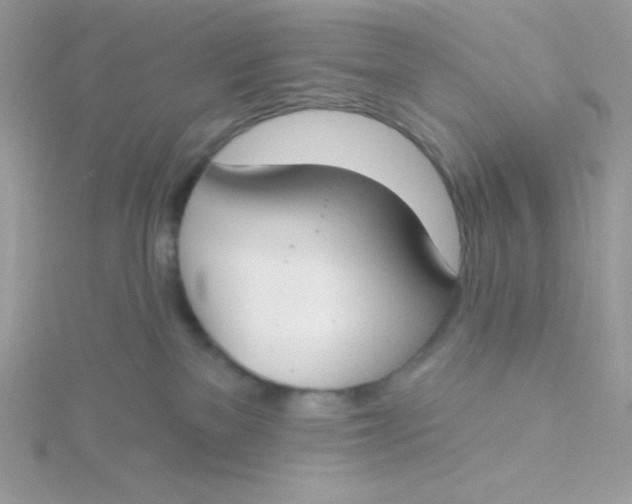 X0000115490137200911271356