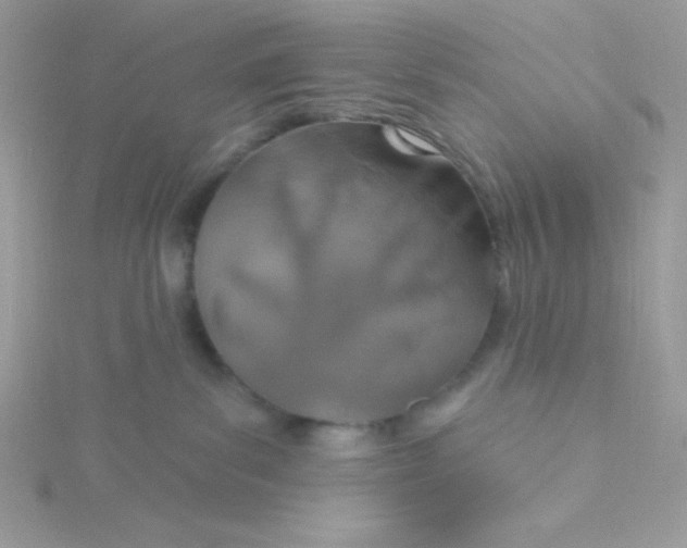 X0000115490139200911271356