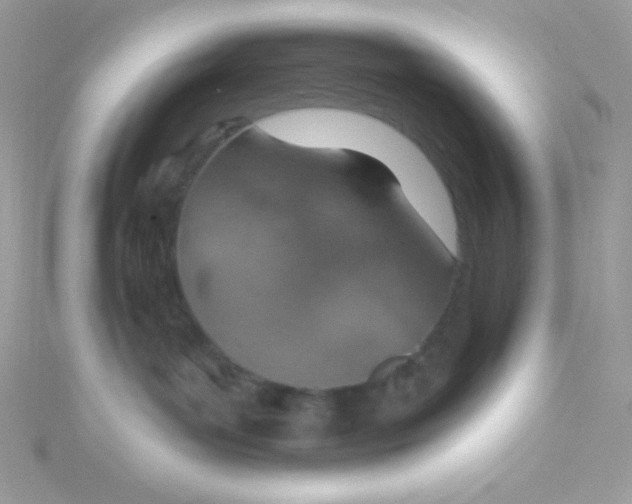 X0000115490143200911271356