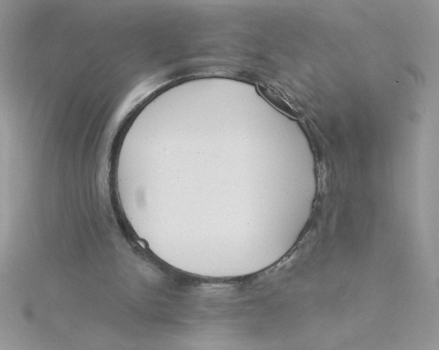 X0000115490150200911271356