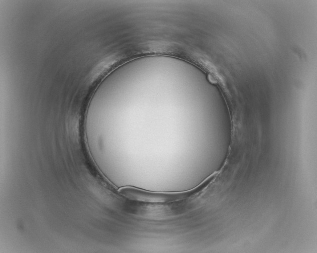 X0000115490154200911271356