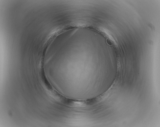X0000115490167200911271356