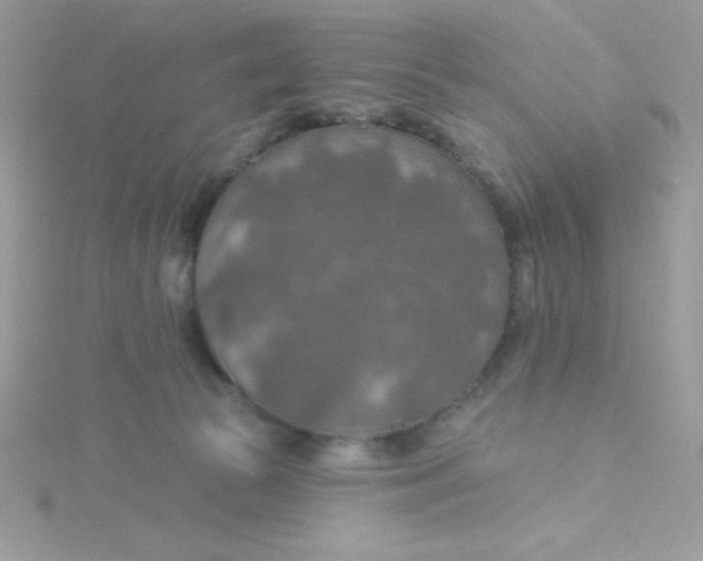 X0000115490177200911271356