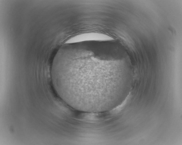 X0000115490182200911271356